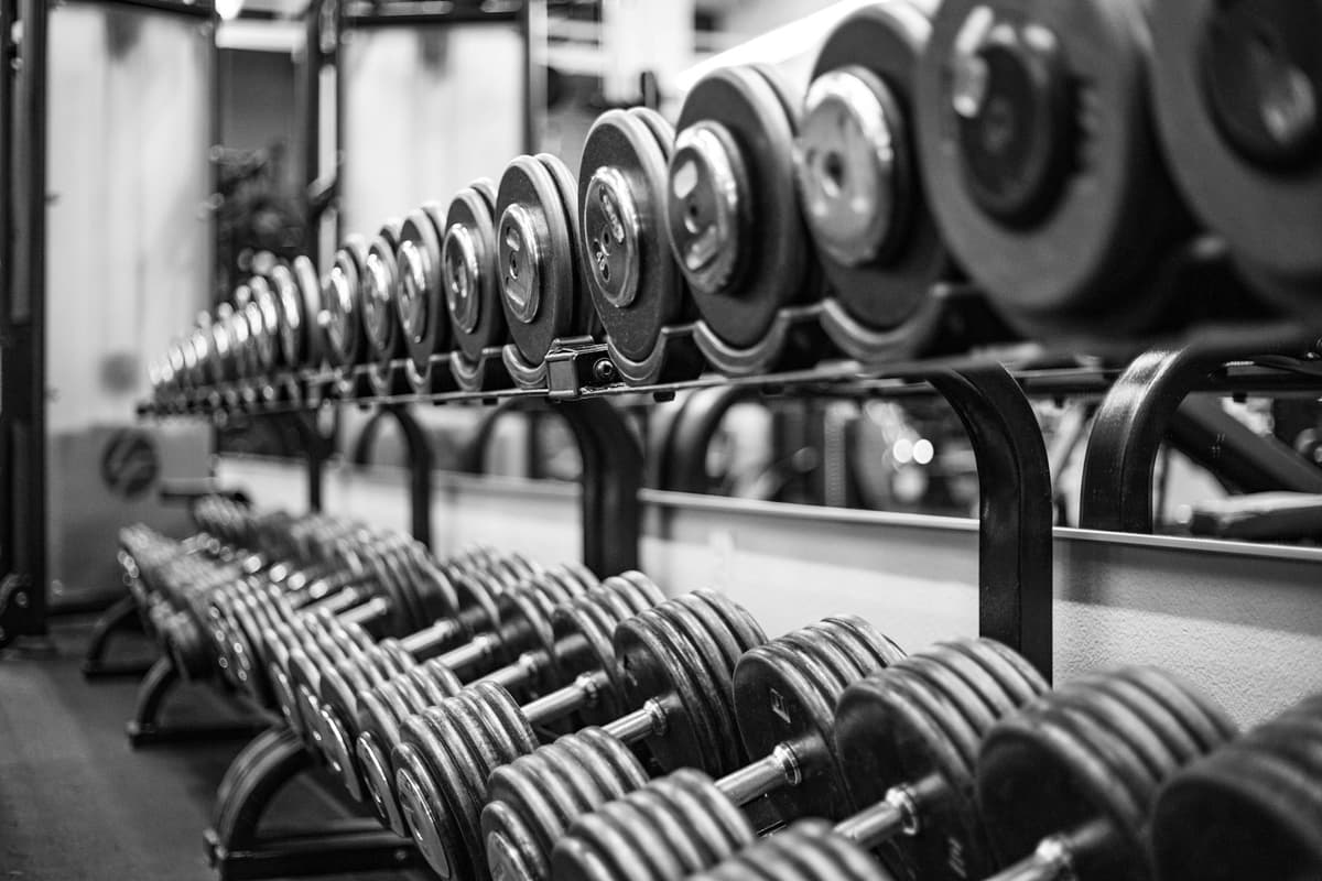 Gymset, hantlar och skivstång