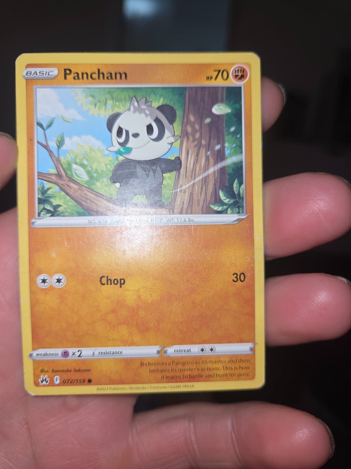 Pokémon TCG Pancham 072/159 Crown Zenith 2023